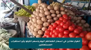انهيار مفاجئ في أسعار الطماطم اليوم وسعر الكيلو يثير استغراب المستهلكين